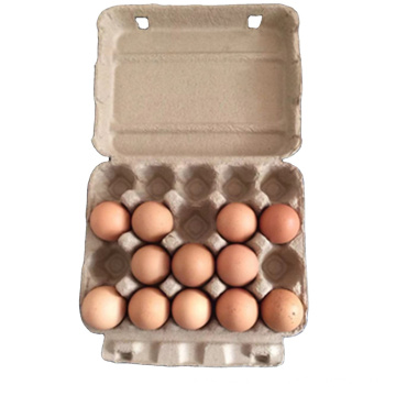 Disposable Pulp egg tray chicken egg cartons 20 holes